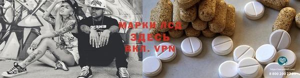 спайс Ладушкин