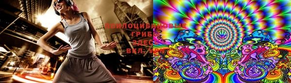 эйфоретик Лабытнанги