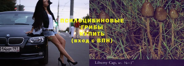 спайс Ладушкин