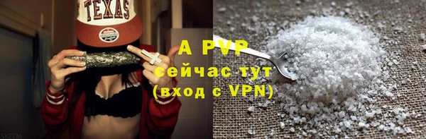 спайс Ладушкин