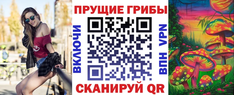 Псилоцибиновые грибы прущие грибы  Тайга 